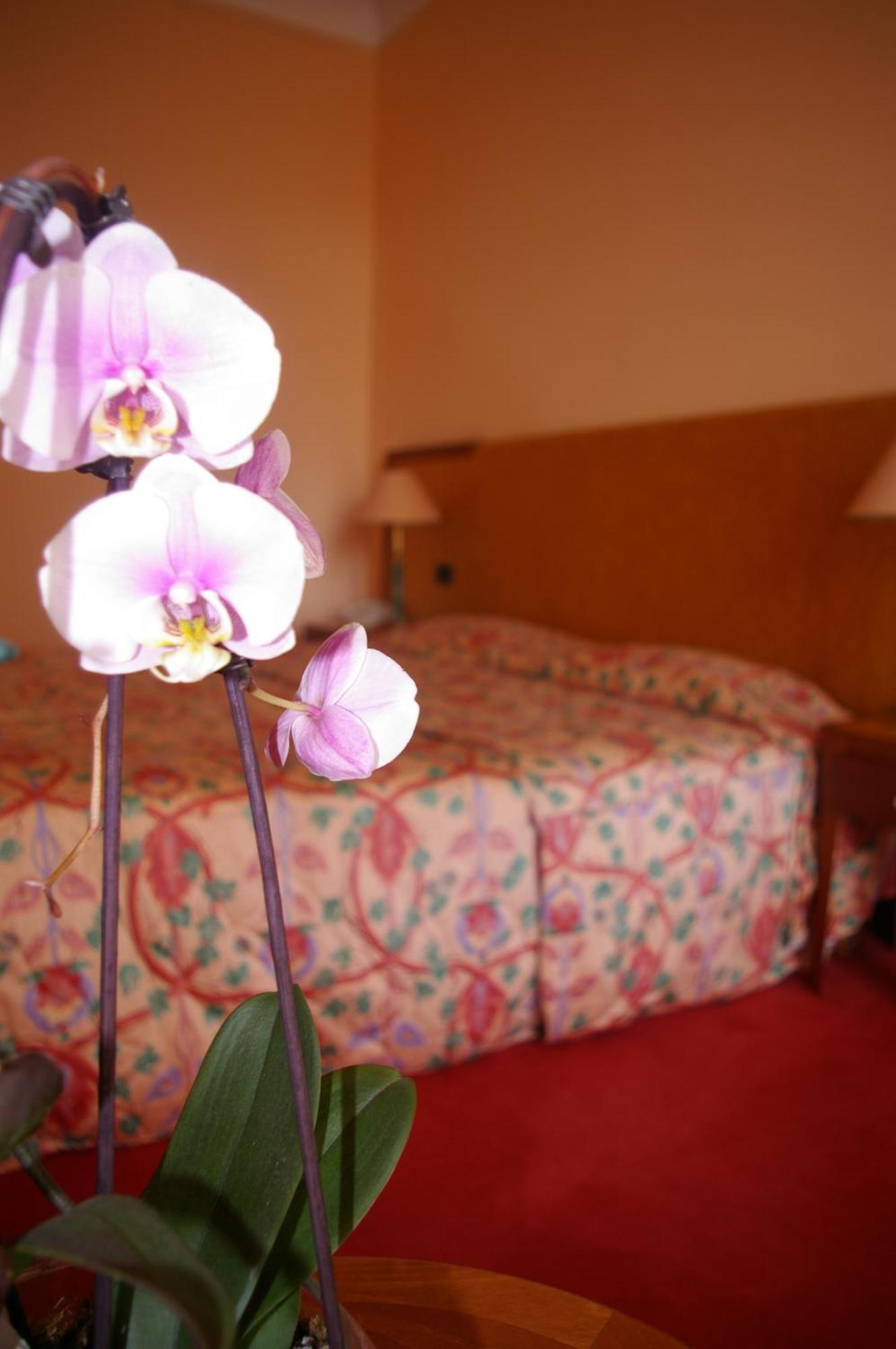 Hotel Aletti Palace Vichy Luaran gambar